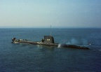 HMS TIPTOE 3